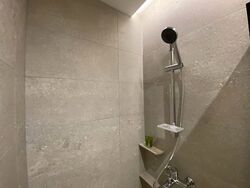 Mount Elizabeth Link (D9), Condominium #585130731